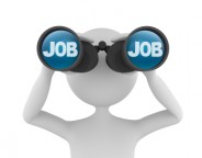 Grundlagenwissen-Software-wichtig-bei-Jobsuche
